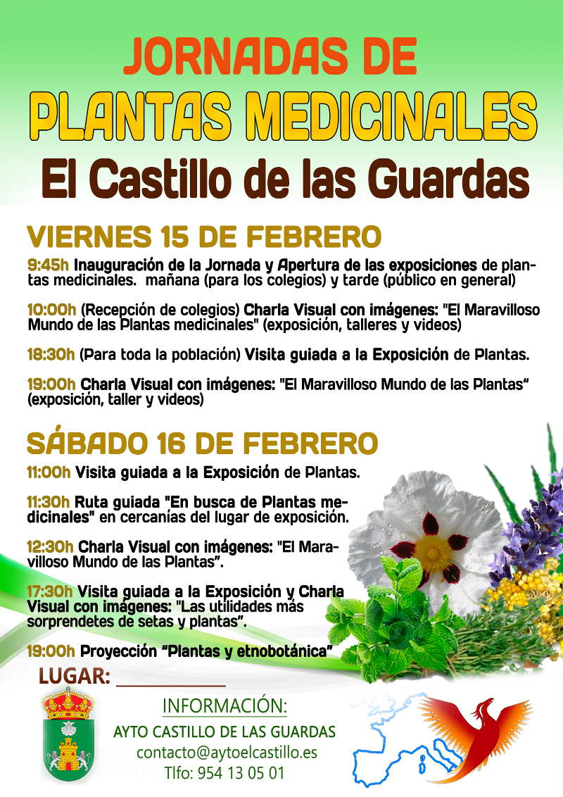 1CARTEL CASTILLO DE LAS GUARDAS PROVISIONAL